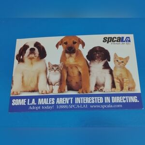SPCA Los Angeles 1997 Puppies And Kittens Pets Adoption Post Card